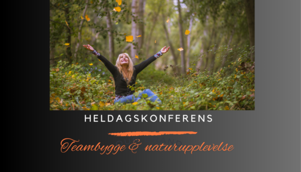Heldagskonferens3