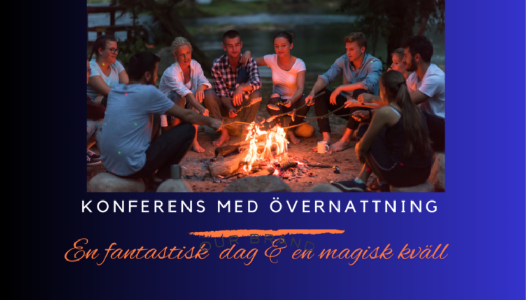 Heldagskonferens4