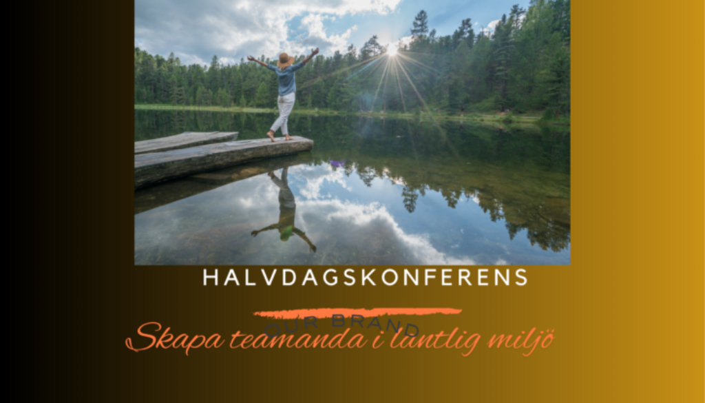 Heldagskonferens5